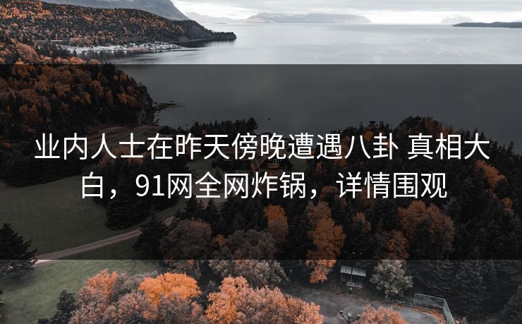 业内人士在昨天傍晚遭遇八卦 真相大白，91网全网炸锅，详情围观