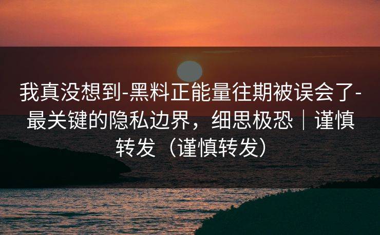 我真没想到-黑料正能量往期被误会了-最关键的隐私边界，细思极恐｜谨慎转发（谨慎转发）
